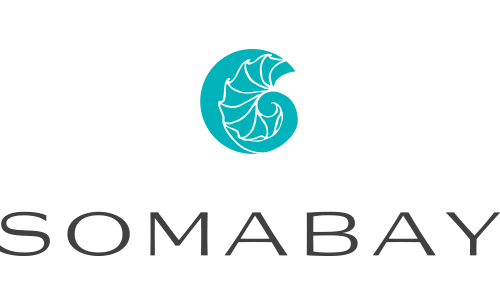 Somabay Real Estate Projects