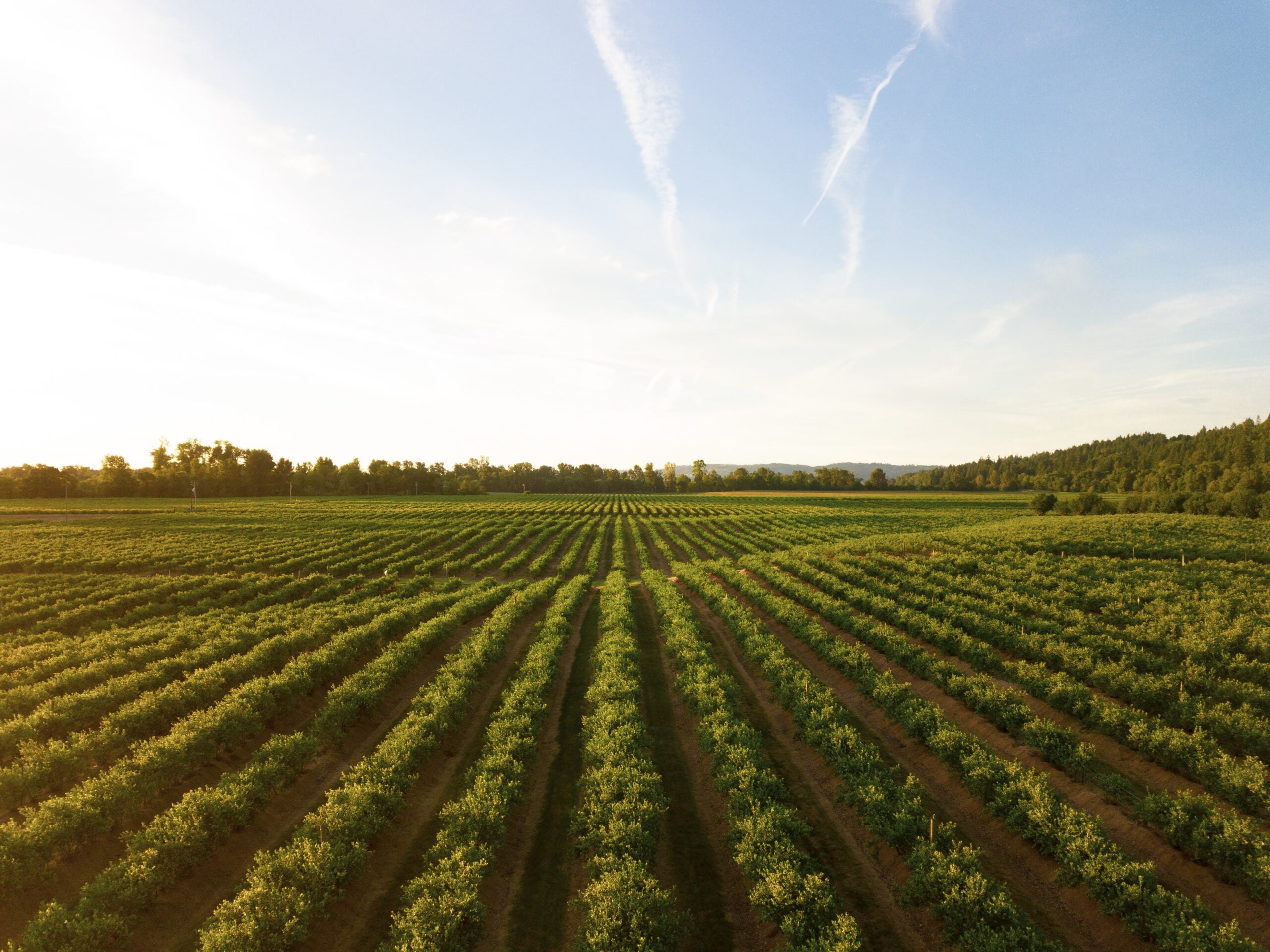 The Future of Agricultural Land Development