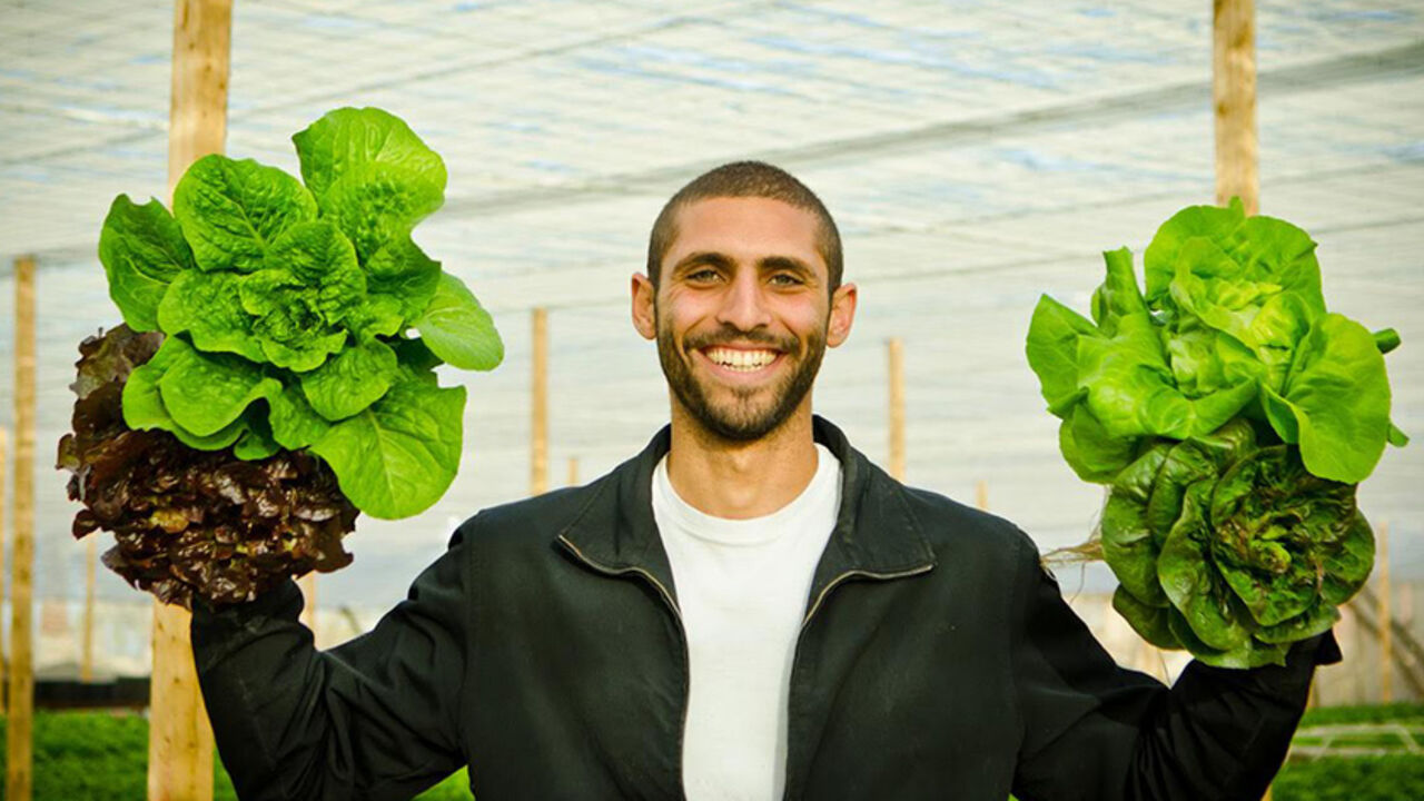 Hydroponic Farming: A Sustainable Solution to Feed Egypt Amid Rising Temperatures